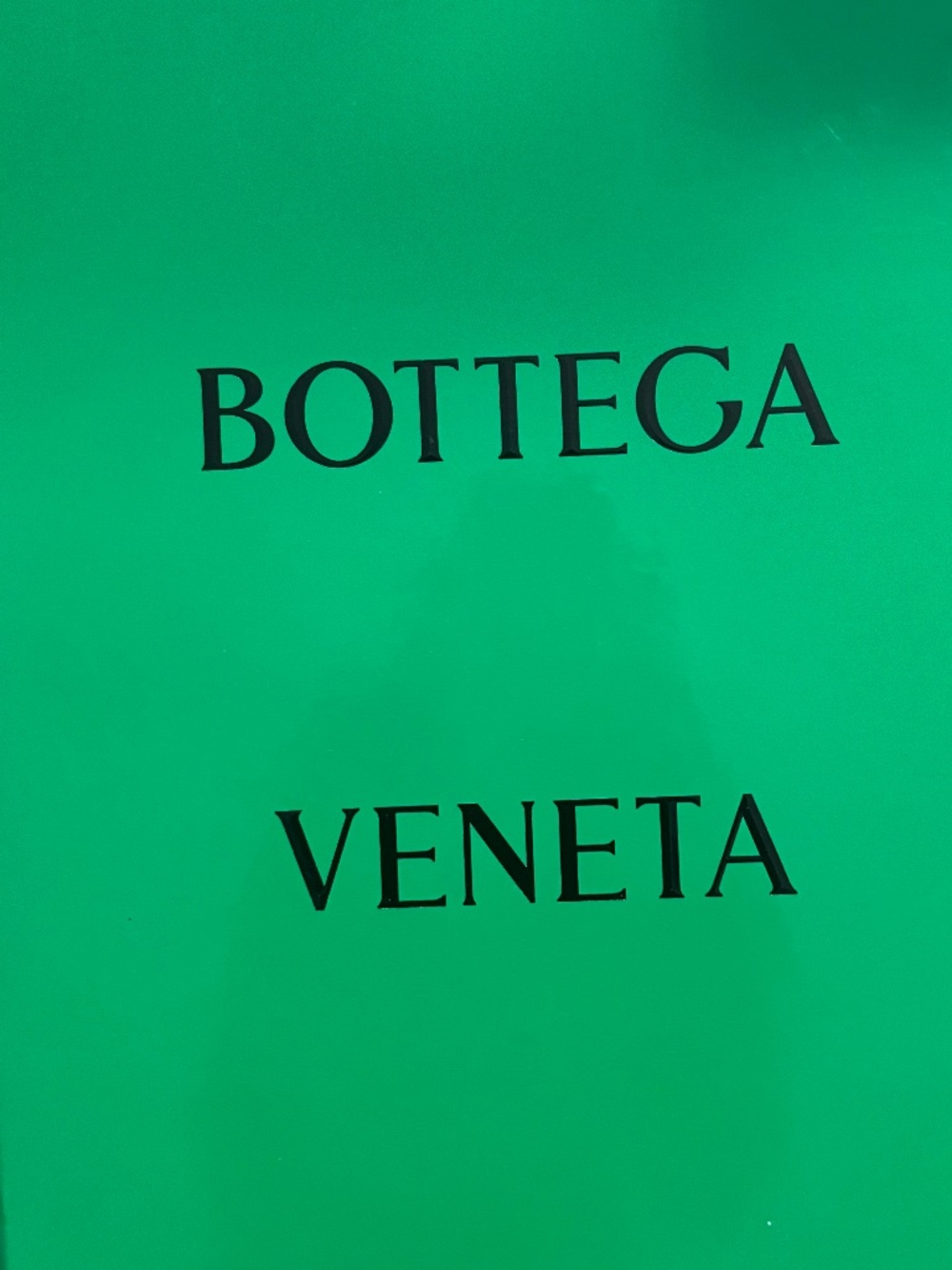 Bottega Veneta orbit  Sneakers